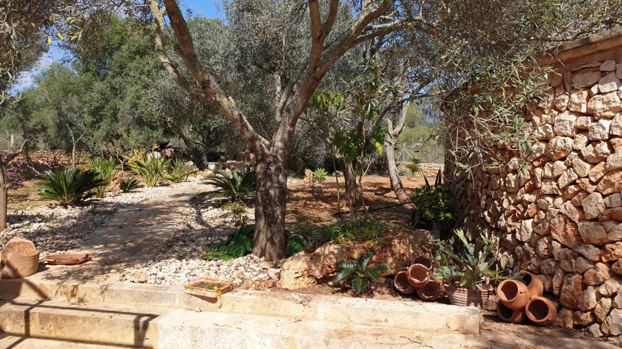Finca Rural Art 9 Ferienhaus *