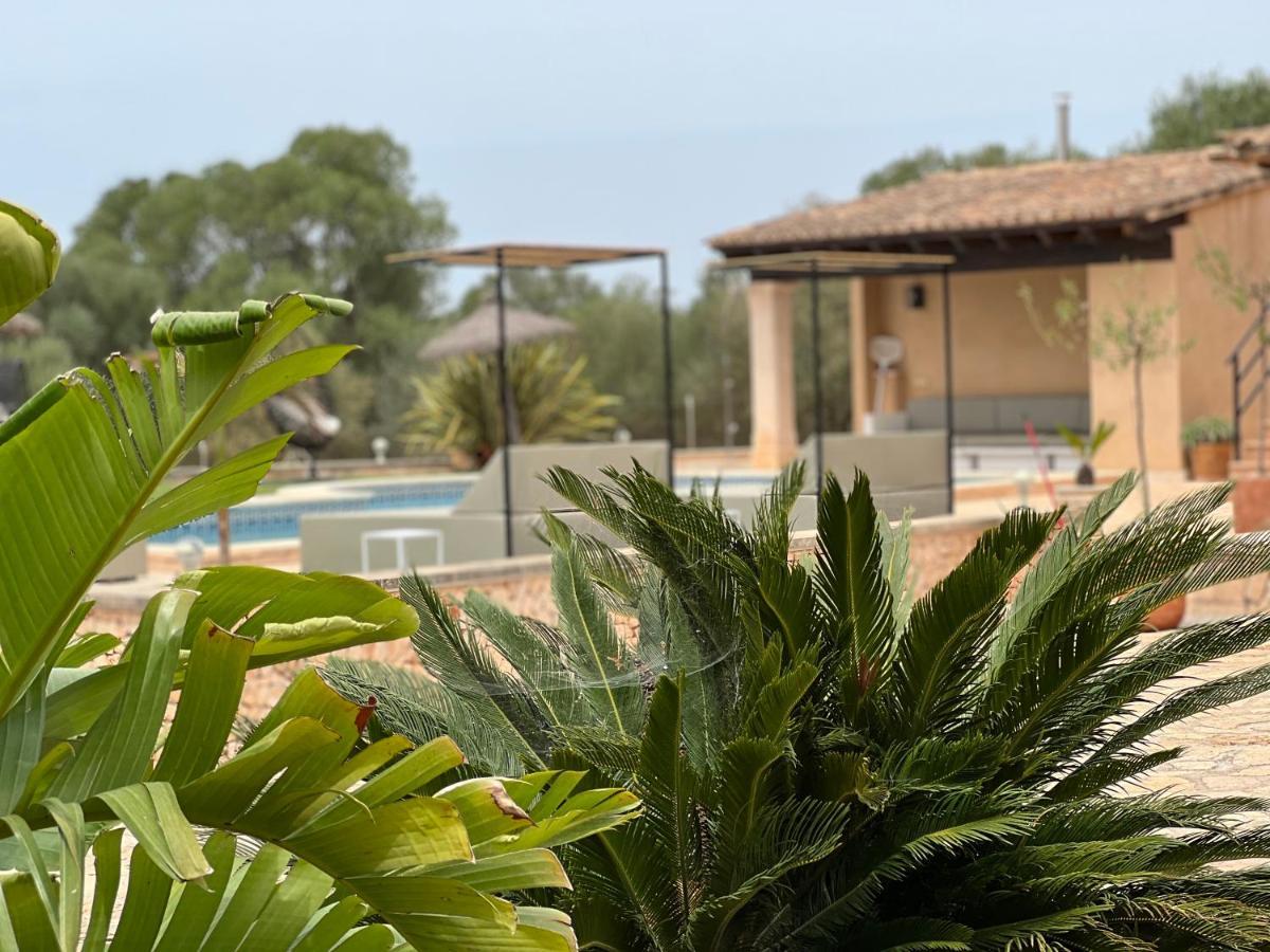 Finca Rural Art 9 Ferienhaus Ses Salines (Mallorca)
